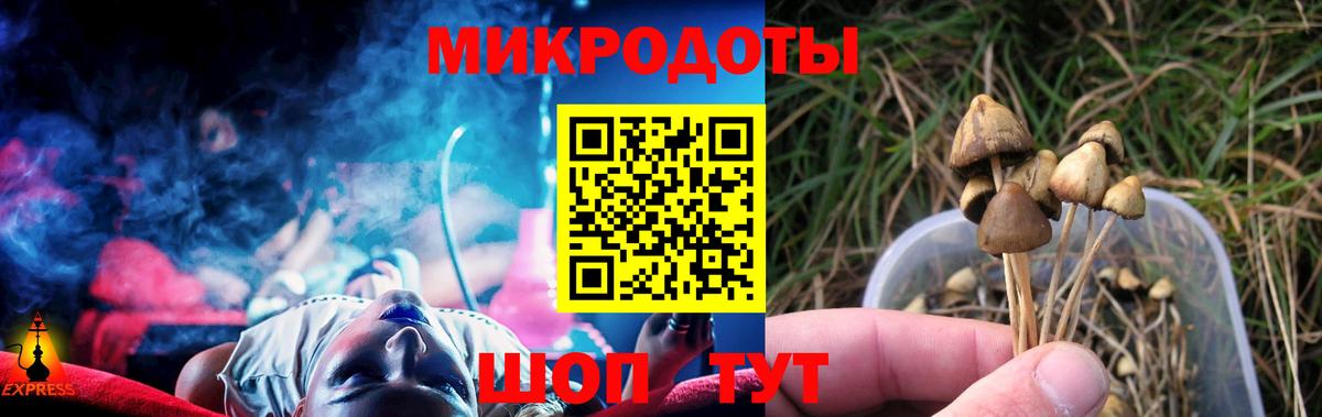 Псилоцибиновые грибы Cubensis  что такое   Лесосибирск  Вход с VPN 